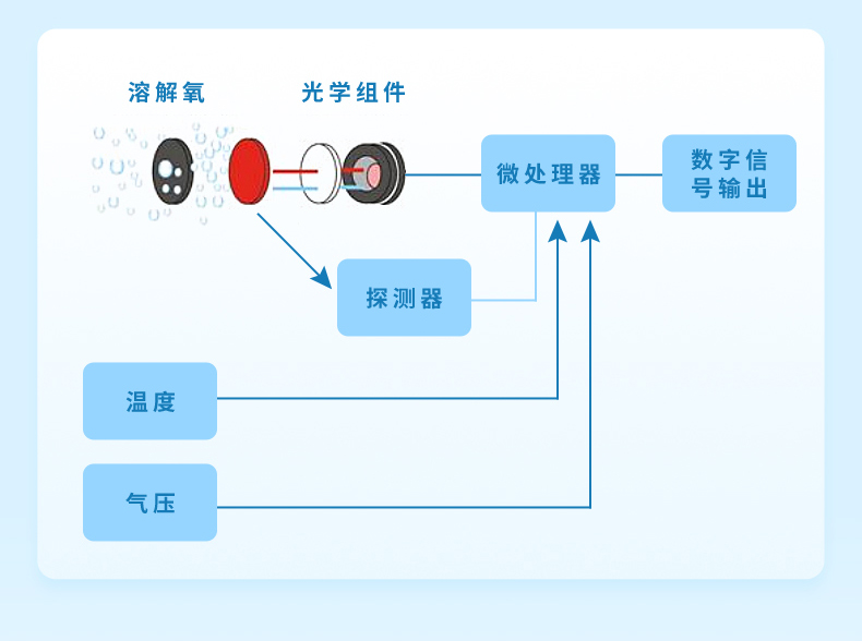 溶氧水產養殖行業-2023.9_03.jpg